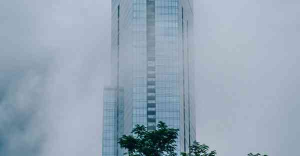 biubiu加速器官方