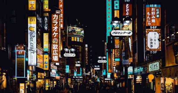 坚果apk